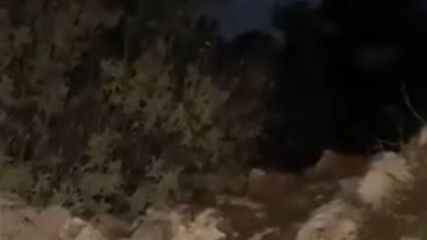 ياصور