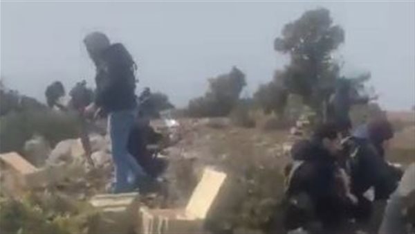 ارشيفية