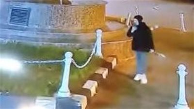 على مرأى من الكاميرات... سرق هاتف سيدة من يدها! (فيديو)
