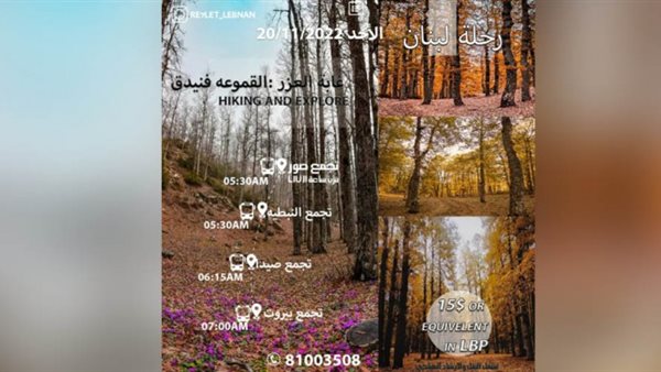 ياصور