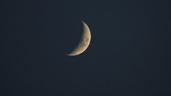ياصور