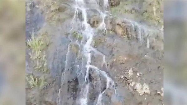 ياصور