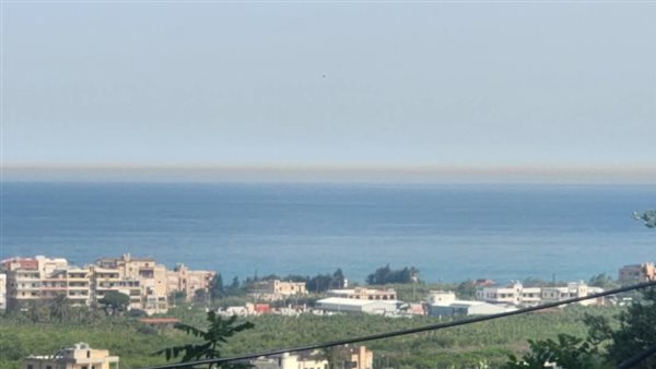ياصور