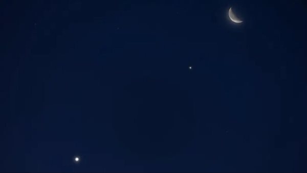 ياصور