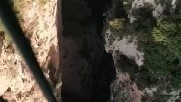 ياصور