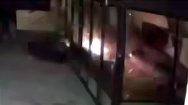 ياصور