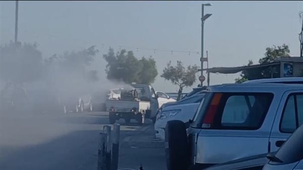 ياصور