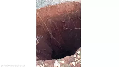 جنوباً: بلدية توقف 4 شبان يقومون بالحفر (الصورة داخل الخبر)