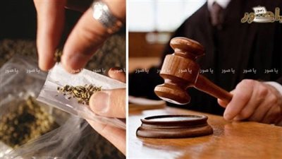 يهربان المخدرات عبر المطار بعد ابتلاعها واحدى الكبسولات علقت في احشاء احدهما!
