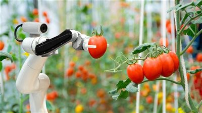 تطوير أول روبوت ذكي مخصص لتربية النباتات في الصين
