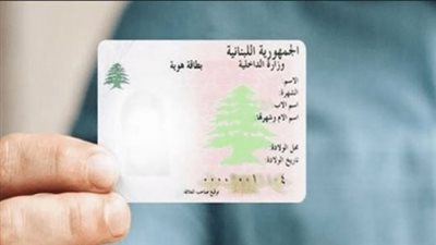 فقدان هوية بإسم خديجة حسين إسماعيل في منطقة صور