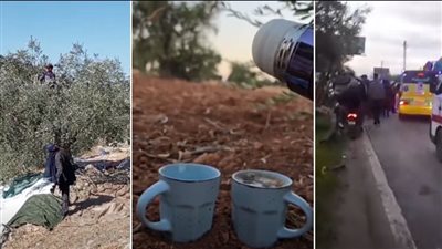 يوم قطاف الزيتون تحوّل إلى مأساة: قهوة 