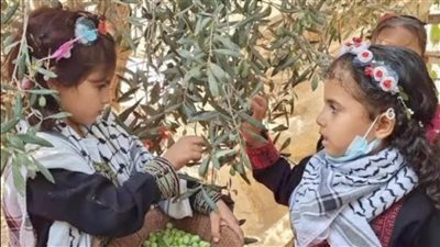 وأطلّ وجهك يعانق الزّيتون