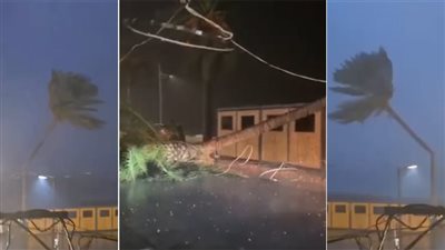 صور تنجو من كارثة: العاصفة الشديدة تقتلع نخلة معمرة وتلقيها ارضاً