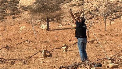 ملاحقة الصيد الجائر وضبط شباك تتسبّب بمقتل الطيور المهاجرة وتوقيف 