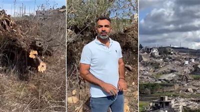 السرقات في القرى الحدودية وصلت الى الزيتون المعمر منذ مئات السنين ، فمن يتحرك