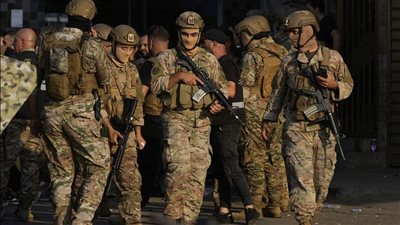 الجيش يداهم مستودعًا ويضبط كميات كبيرة من الماريغوانا