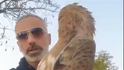 الناشط البيئي علي يونس يدعو لحماية طائر عقاب الافاعي وطير البوم وعدم صيدهم