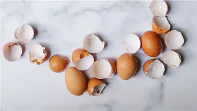 غشاء قشر البيض.. كنز خفي للبشرة والشعر وصحة العظام