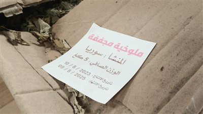 جنوباً: الفساد وصل الى الملوخية والمصدر سوري !