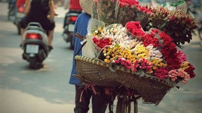 بعد متابعة ورصد… توقيف بائع ورد وشريكه بتهمة ترويج المخدرات