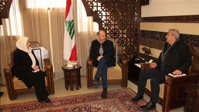بهية الحريري تتابع مع المحافظ ضو ورئيس بلدية صيدا شؤوناً حياتية وبيئية 
