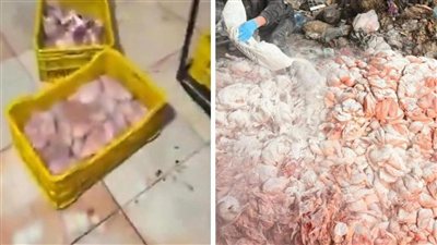توقيف عشرة أشخاص بجرم تخزين دجاج مخالف لشروط السلامة الغذائية
