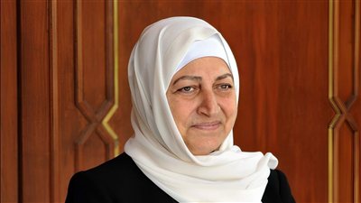 بهية الحريري تطالب بلدية صيدا بإلغاء مرسوم الضم والفرز لمنطقة الوسطاني