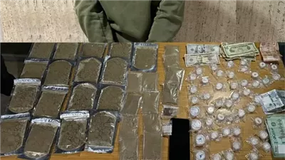 ضبط مخدّرات وحبوب وتوقيف مطلوب بجرم تبييض أموال