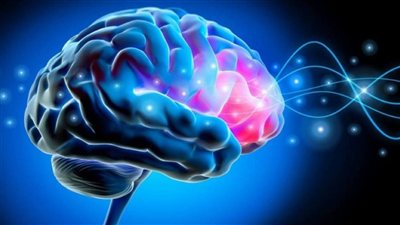 لماذا تضعف ذاكرتنا مع التقدم في العمر؟
