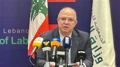 حيدر يحذر من تحركات توظيف لبنانيين في الخارج من دون أطر قانونية