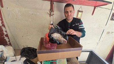 في مدينة صور 150 كيلو من اللحم الفاسد كانت في طريقها الى 