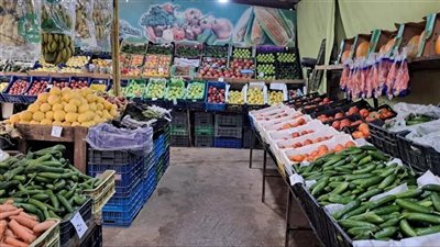 جنوبًا: وزارة الاقتصاد تواصل جولات 