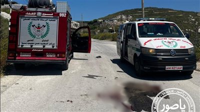 ارتقـاء شابين فلسطينيين في استهداف دراجة نارية في منطقة عين بعال