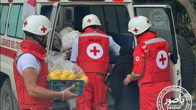 مسنّة من النبطية الفوقا ترفض المغادرة قبل إنقاذ “مونة” بيتها… والصليب الأحمر يُخليها بأمان