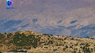 الحزب أبلغ الجيش اللبناني تمسّكه بعلي الطاهر