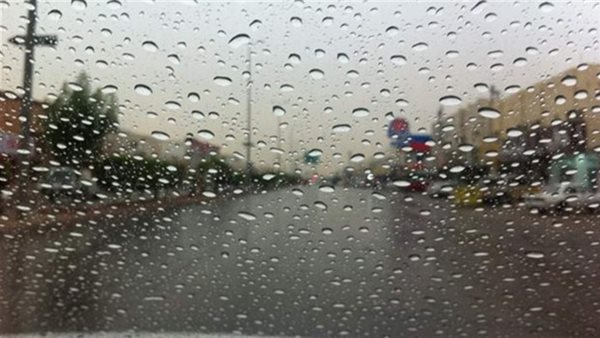 ياصور