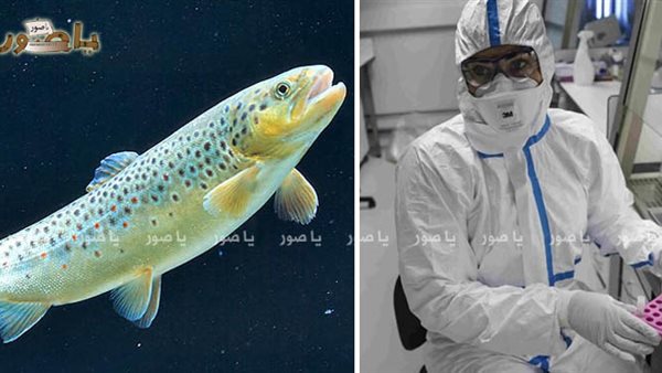 ياصور