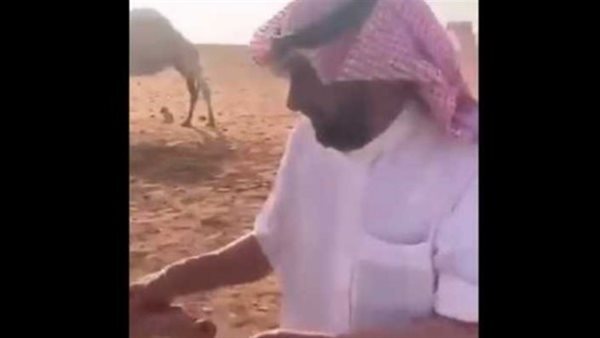 ياصور